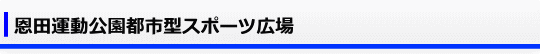 恩田運動公園都市型スポーツ広場
